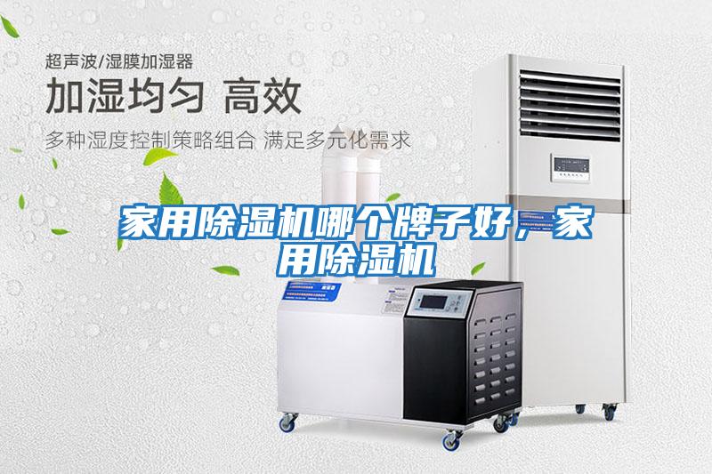 家用除湿机哪个牌子好，家用除湿机