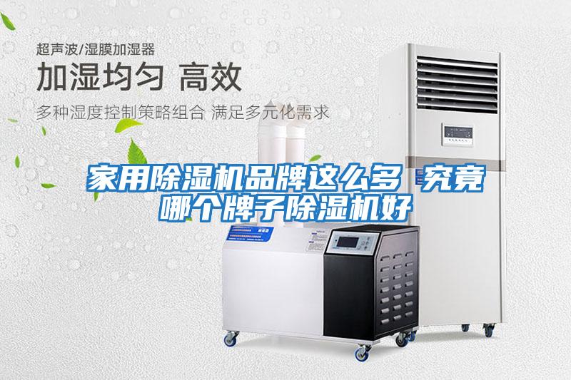家用除湿机品牌这么多 究竟哪个牌子除湿机好