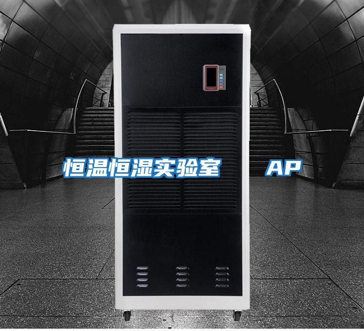 恒温恒湿实验室   AP