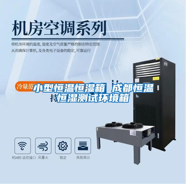 小型恒温恒湿箱 成都恒温恒湿测试环境箱