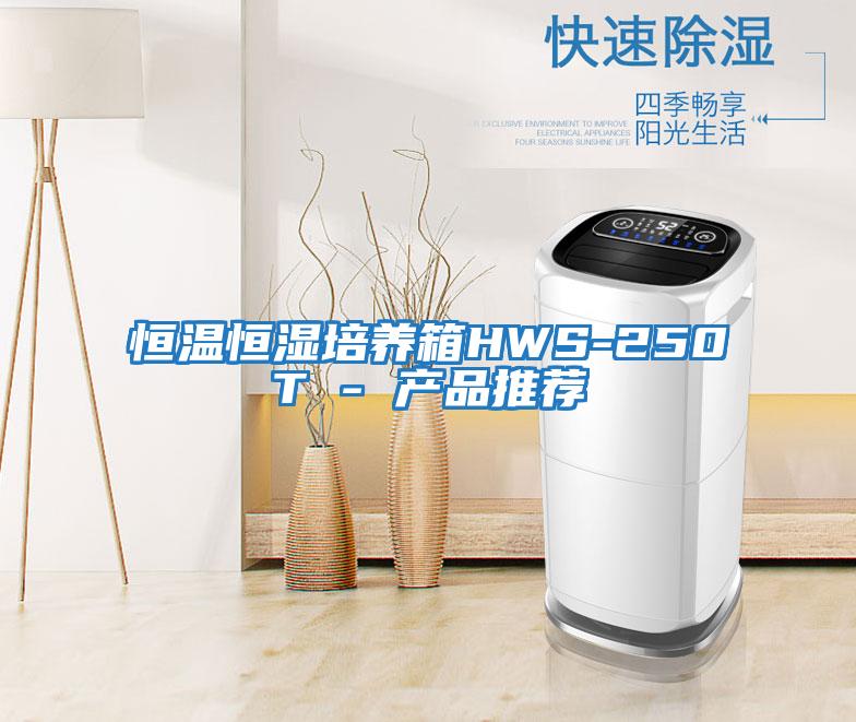 恒温恒湿培养箱HWS-250T - 产品推荐