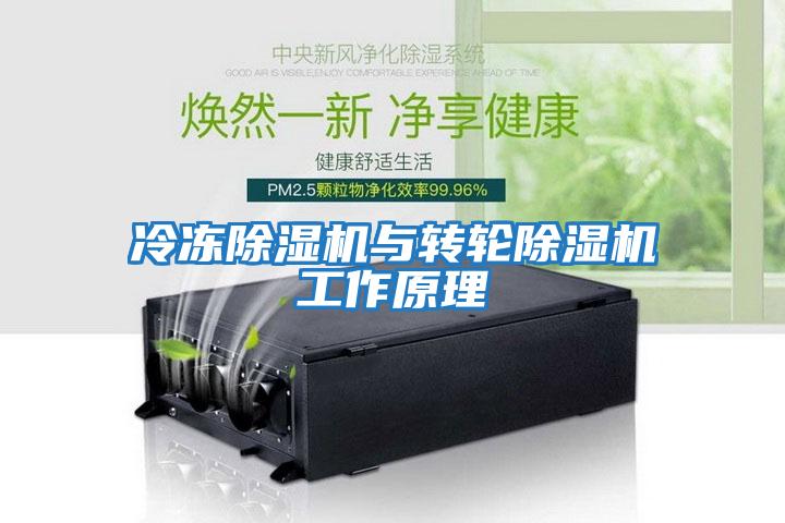 冷冻除湿机与转轮除湿机工作原理