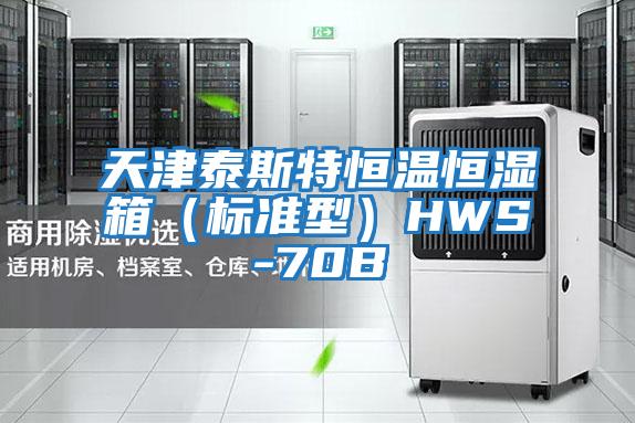 天津泰斯特恒温恒湿箱（标准型）HWS-70B