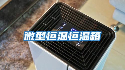 微型恒温恒湿箱