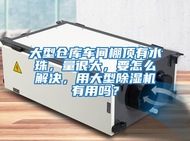 大型仓库车间棚顶有水珠，量很大，要怎么解决，用大型除湿机有用吗？