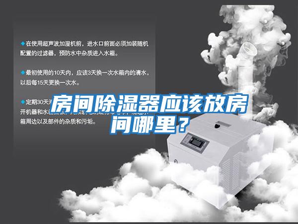 房间除湿器应该放房间哪里？