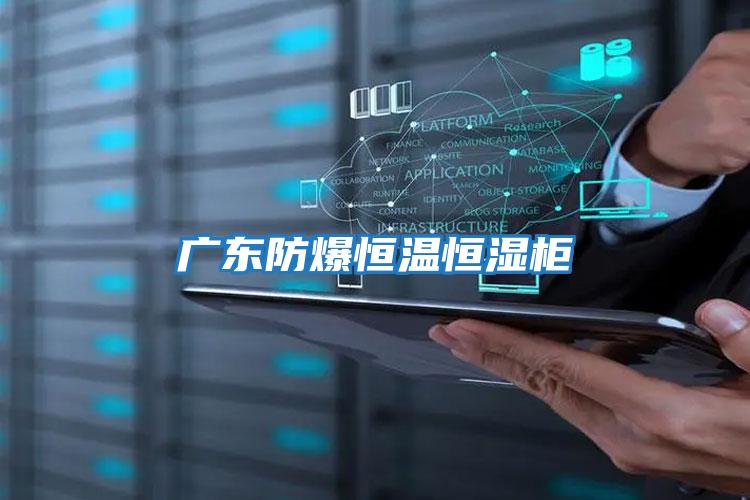 广东防爆恒温恒湿柜