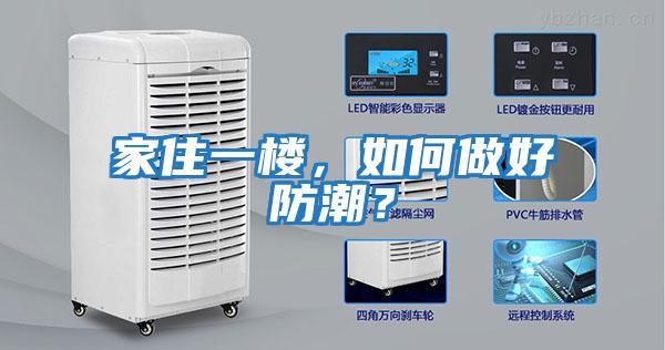 家住一楼，如何做好防潮？
