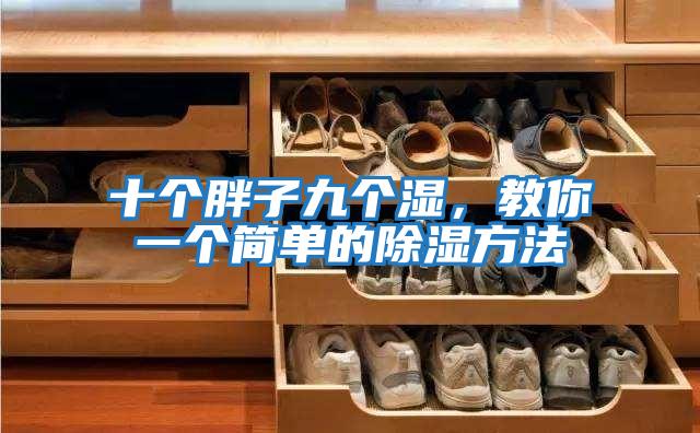 十个胖子九个湿，教你一个简单的除湿方法