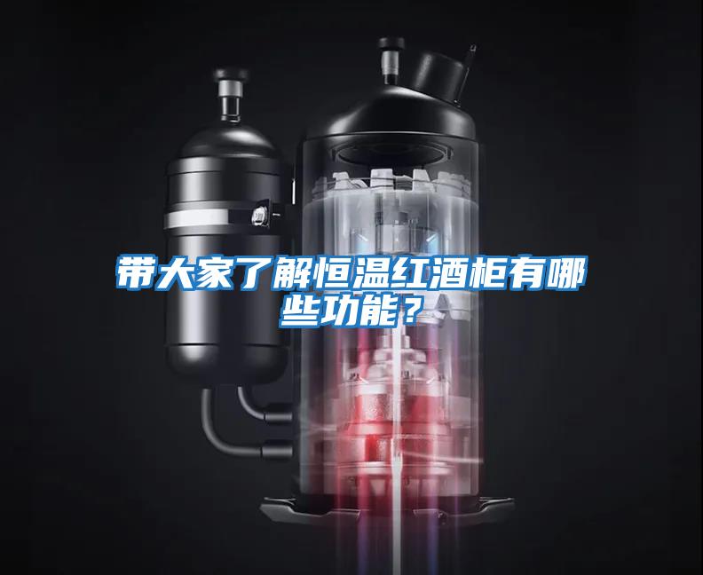 带大家了解恒温红酒柜有哪些功能？