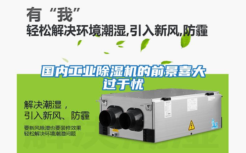 国内工业除湿机的前景喜大过于忧