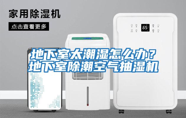 地下室太潮湿怎么办？地下室除潮空气抽湿机