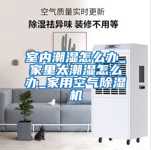 室内潮湿怎么办_家里太潮湿怎么办_家用空气除湿机