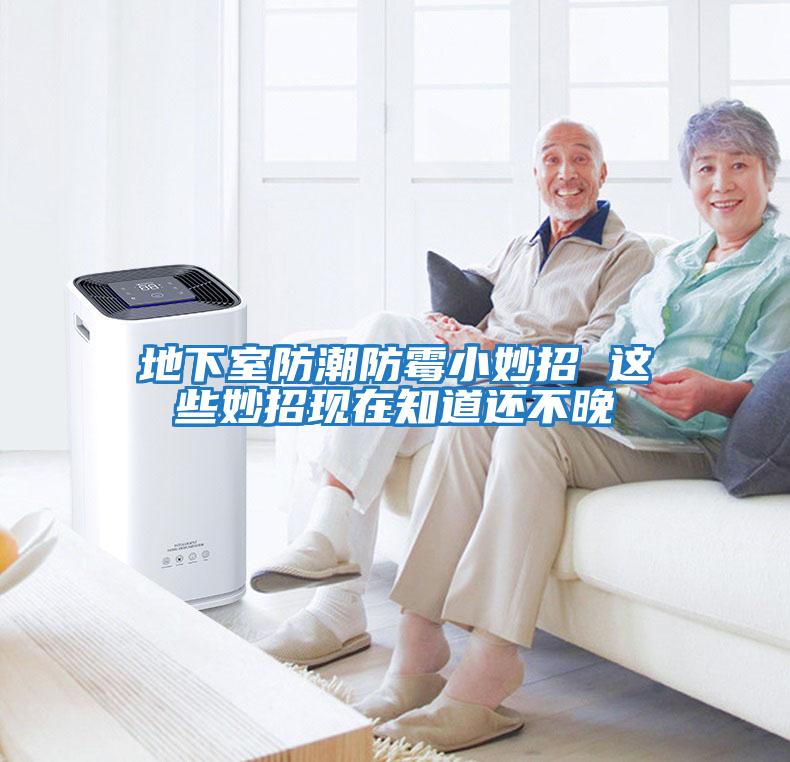 地下室防潮防霉小妙招 这些妙招现在知道还不晚