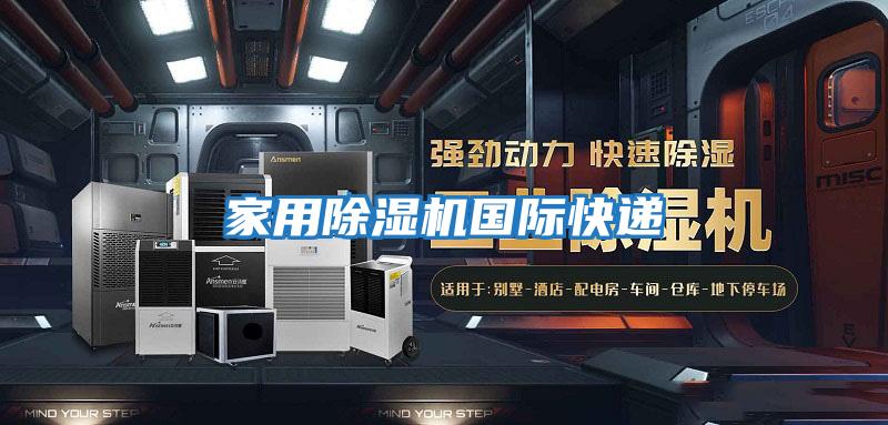 家用除湿机国际快递