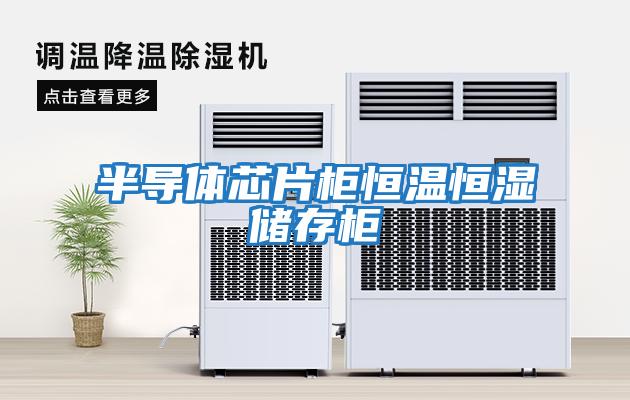 半导体芯片柜恒温恒湿储存柜