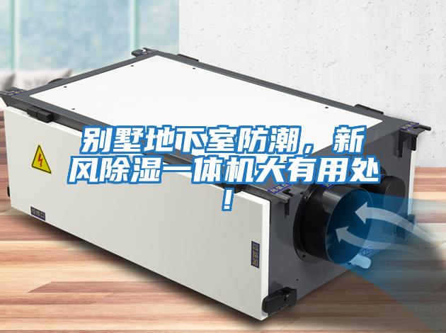 别墅地下室防潮，新风除湿一体机大有用处！