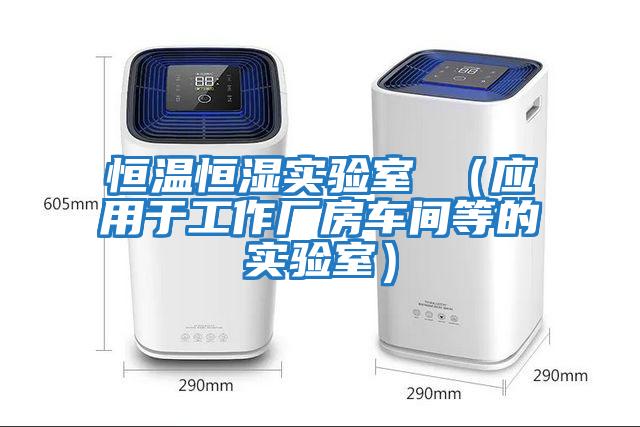 恒温恒湿实验室 （应用于工作厂房车间等的实验室）