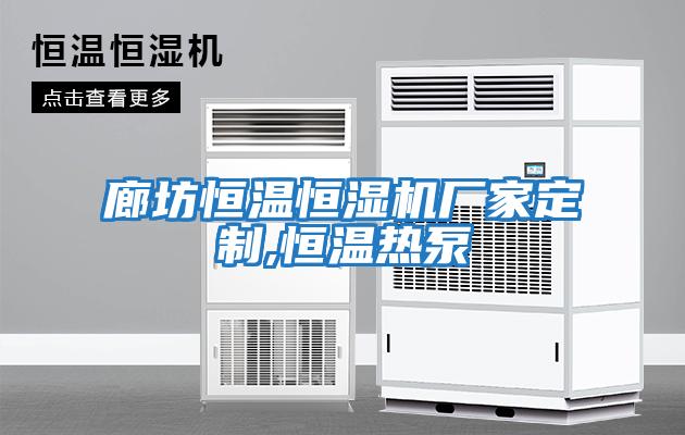 廊坊恒温恒湿机厂家定制,恒温热泵
