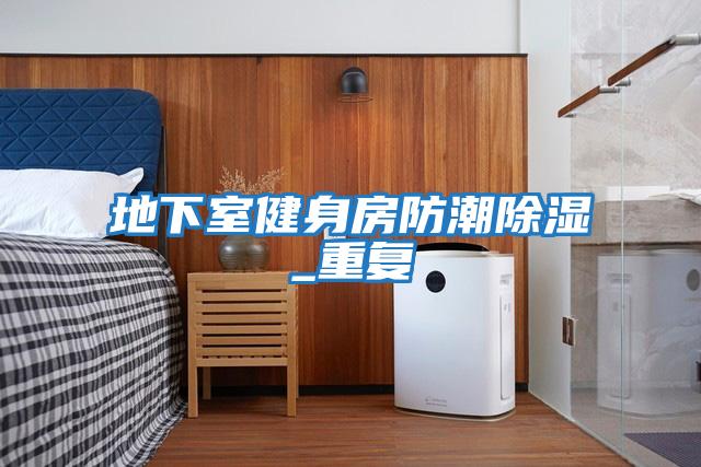 地下室健身房防潮除湿_重复