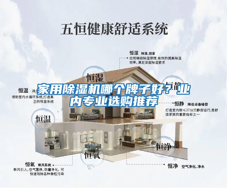 家用除湿机哪个牌子好？业内专业选购推荐