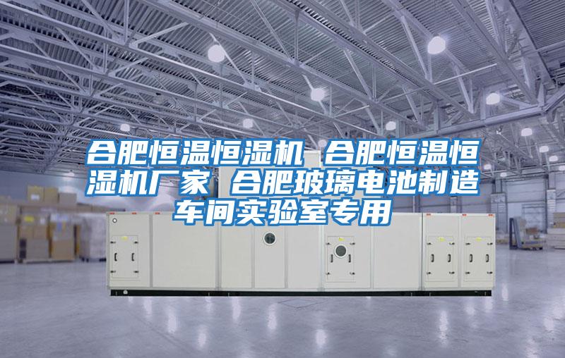 合肥恒温恒湿机 合肥恒温恒湿机厂家 合肥玻璃电池制造车间实验室专用