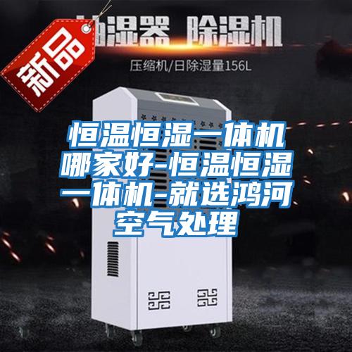 恒温恒湿一体机哪家好-恒温恒湿一体机-就选鸿河空气处理