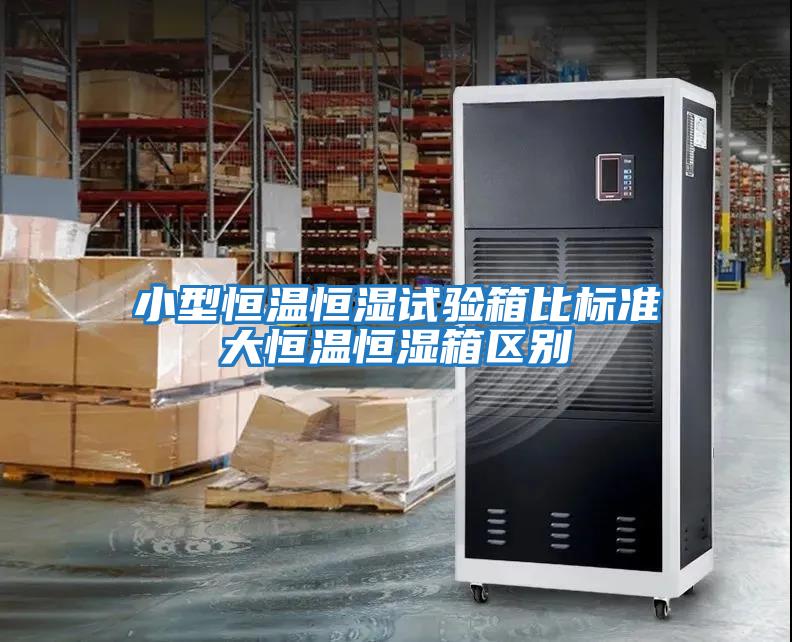 小型恒温恒湿试验箱比标准大恒温恒湿箱区别