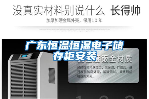 广东恒温恒湿电子储存柜安装