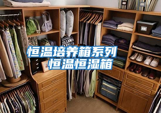恒温培养箱系列  恒温恒湿箱