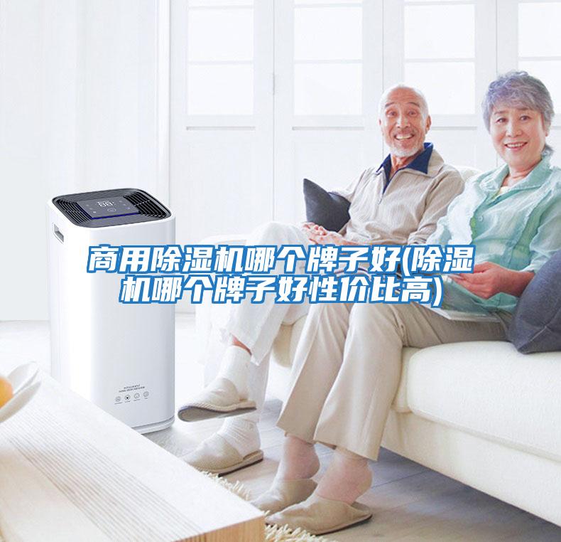 商用除湿机哪个牌子好(除湿机哪个牌子好性价比高)