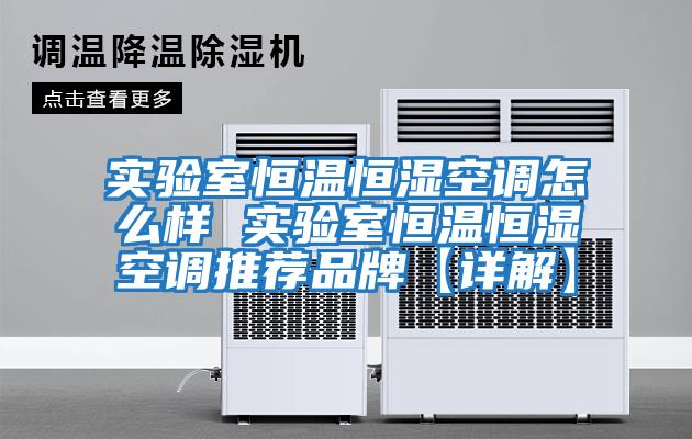 实验室恒温恒湿空调怎么样 实验室恒温恒湿空调推荐品牌【详解】