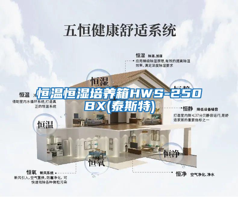 恒温恒湿培养箱HWS-250BX(泰斯特)