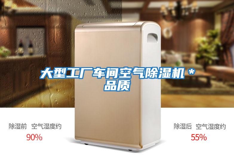 大型工厂车间空气除湿机＊品质
