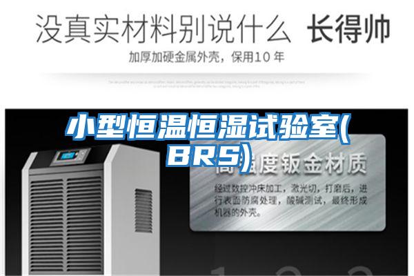 小型恒温恒湿试验室(BRS)