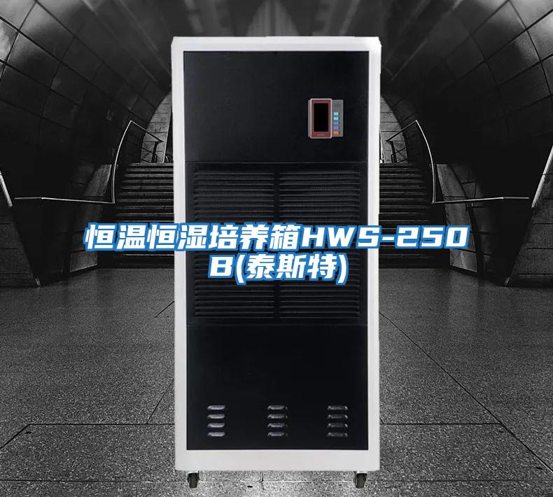 恒温恒湿培养箱HWS-250B(泰斯特)
