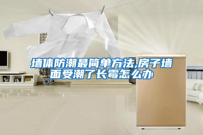 墙体防潮最简单方法,房子墙面受潮了长霉怎么办