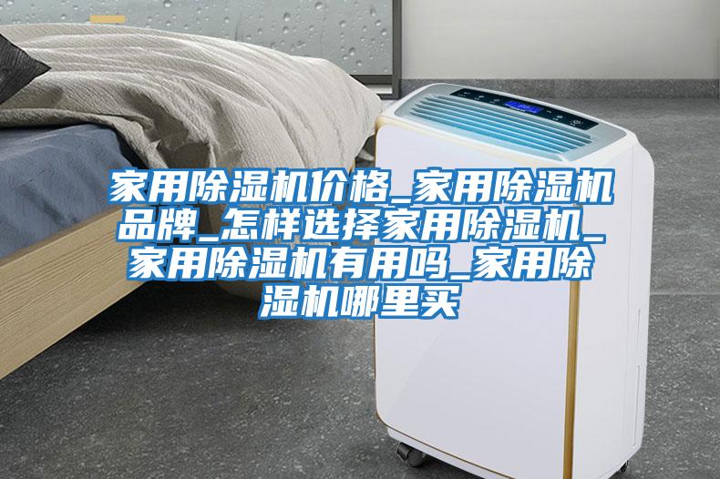 家用除湿机价格_家用除湿机品牌_怎样选择家用除湿机_家用除湿机有用吗_家用除湿机哪里买