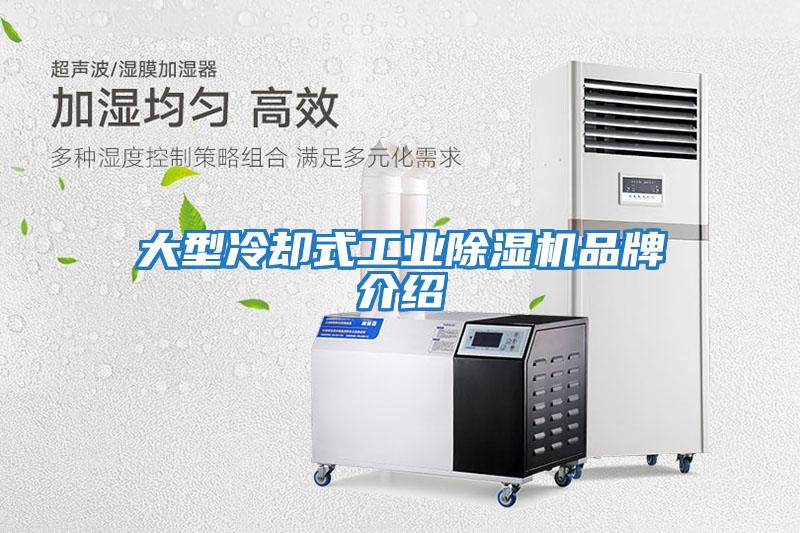 大型冷却式工业除湿机品牌介绍