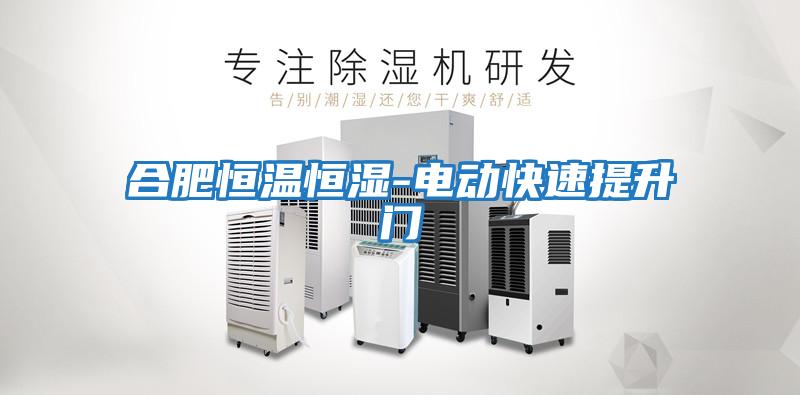 合肥恒温恒湿-电动快速提升门