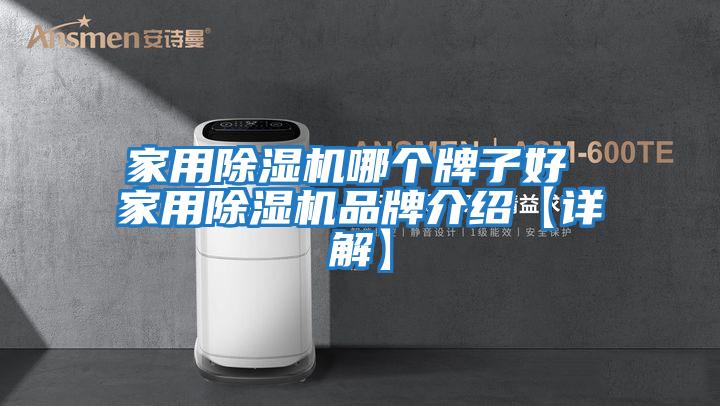 家用除湿机哪个牌子好 家用除湿机品牌介绍【详解】