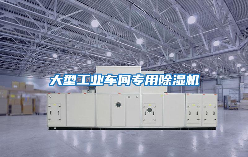 大型工业车间专用除湿机