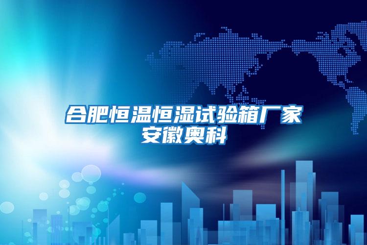 合肥恒温恒湿试验箱厂家安徽奥科