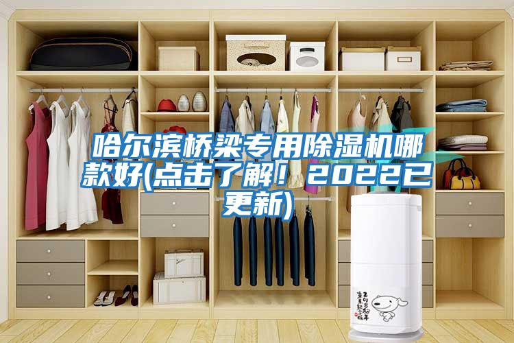 哈尔滨桥梁专用除湿机哪款好(点击了解！2022已更新)