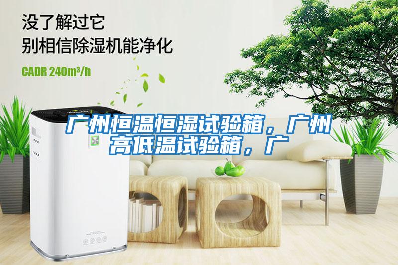 广州恒温恒湿试验箱，广州高低温试验箱，广