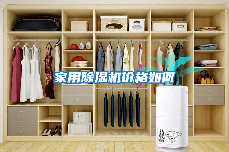 家用除湿机价格如何