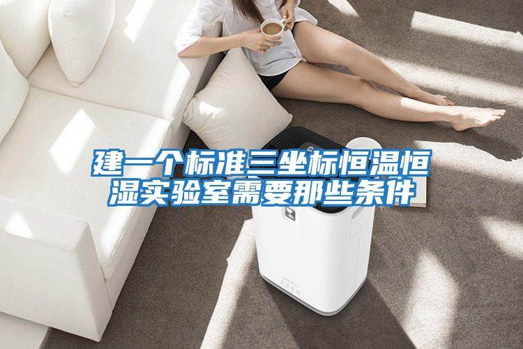 建一个标准三坐标恒温恒湿实验室需要那些条件