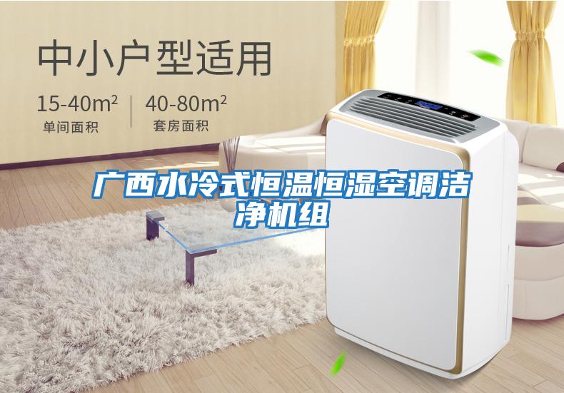 广西水冷式恒温恒湿空调洁净机组