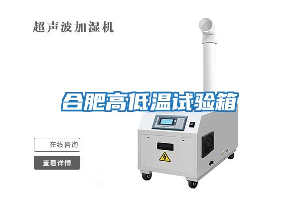 合肥高低温试验箱