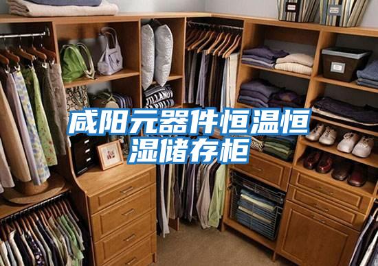 咸阳元器件恒温恒湿储存柜